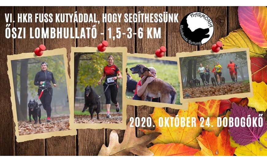 2020. október 24.- VI. HKR FUSS KUTYÁDDAL - ŐSZI LOMBHULLATÓ